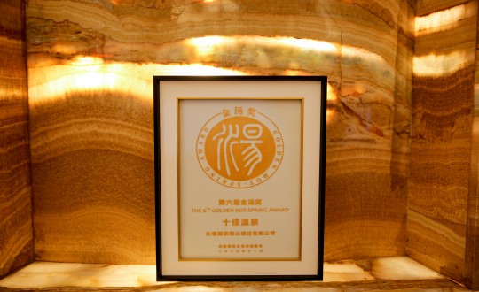 44.酒店公司榮獲第六屆金湯獎(jiǎng)_副本.jpg